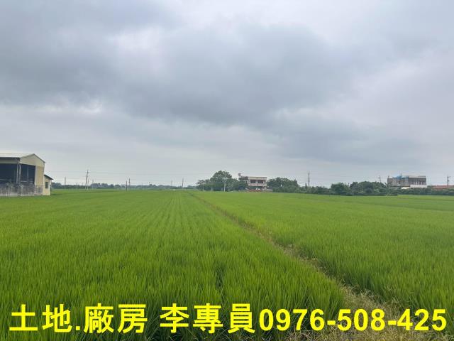 埤頭農地-0