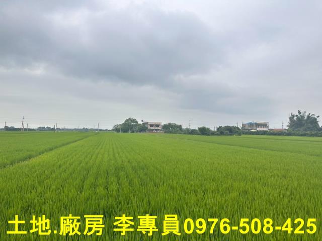 埤頭農地-1