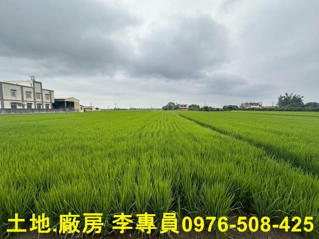 埤頭農地-3
