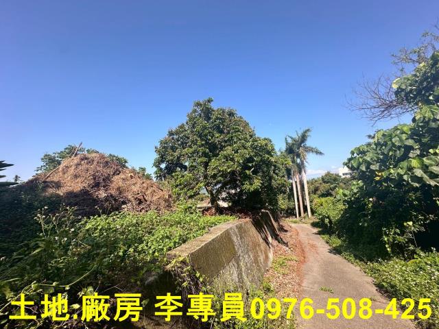 南投市農地-2