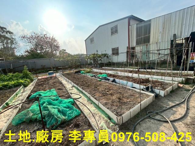 埔里農地-4