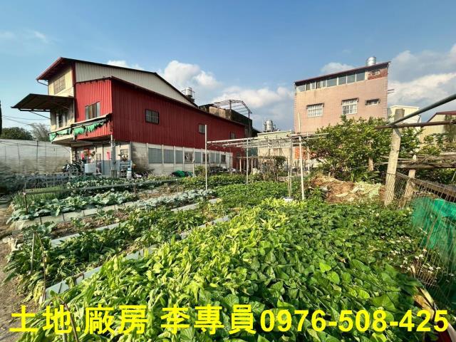埔里農地-5