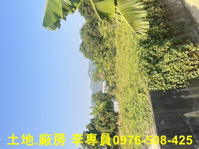 高雄農地-2
