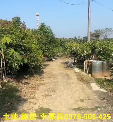 高雄農地-3
