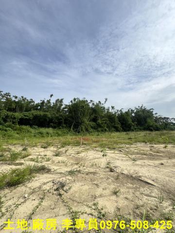 高雄仁武農地-8