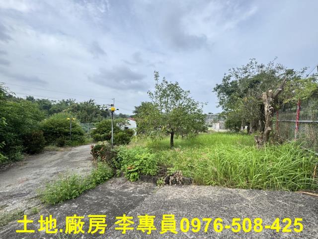 高雄仁武都內農地-4