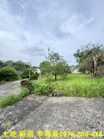 高雄仁武都內農地-5