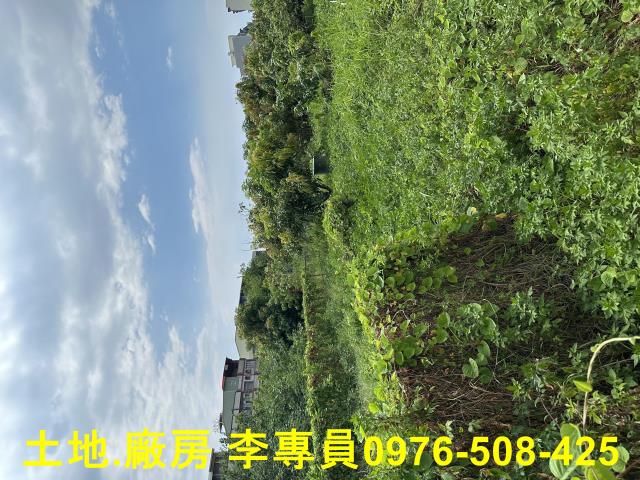 高雄林園住宅地-3