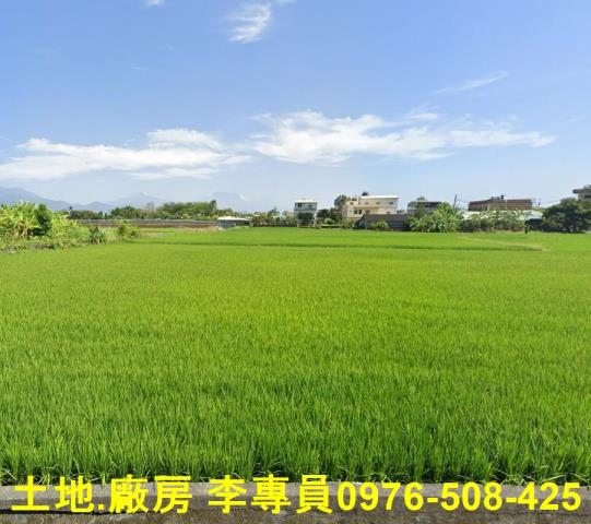 高雄美濃農地-1